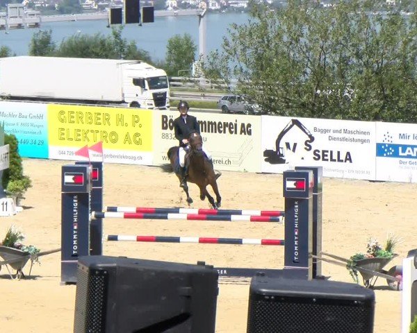 Reitturnier Wädenswil 2024