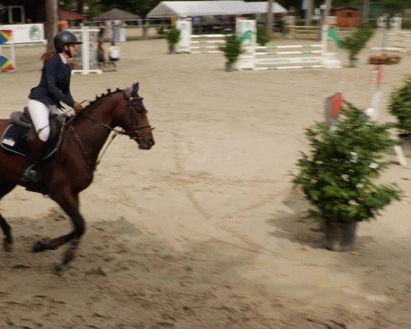 Reitturnier Mannheim-Friedrichsfeld 2024
