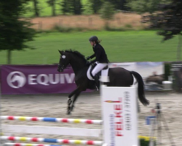 Reitturnier Monschau-Mützenich 2024