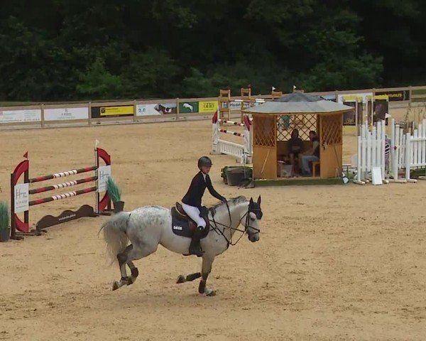 Reitturnier Tiefenhof/Opf. 2024