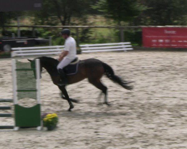 Reitturnier Monschau-Mützenich 2024