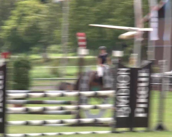 Reitturnier Bad Kissingen/Ufr. 2024
