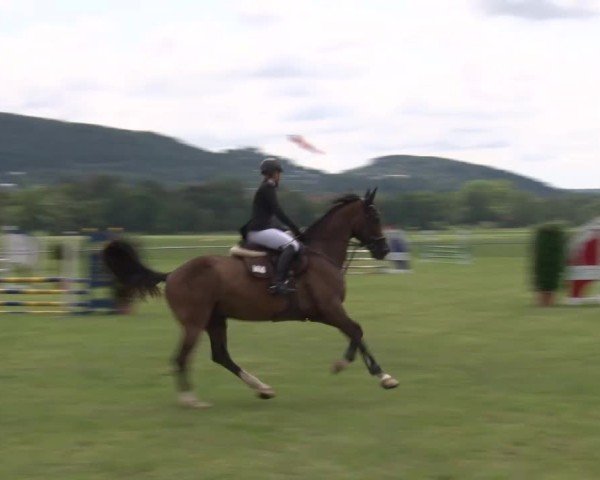 Reitturnier Bad Kissingen/Ufr. 2024