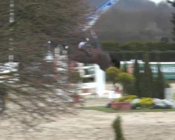Lenklarer Reitertage auf der Reitsportanlage Gripshöver 2013