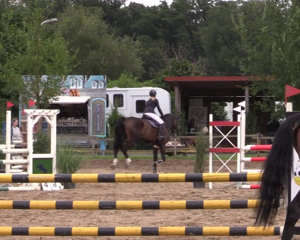 Reitturnier Altlandsberg 2024