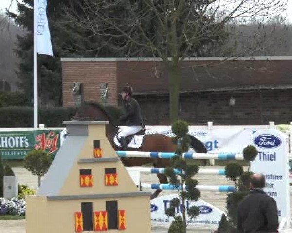 Lenklarer Reitertage auf der Reitsportanlage Gripshöver 2013