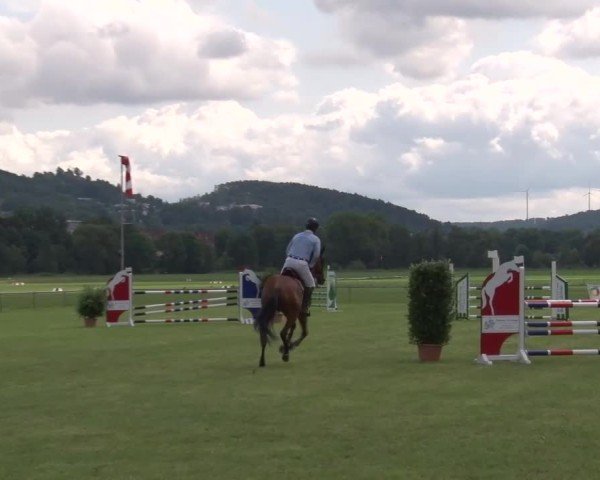 Reitturnier Bad Kissingen/Ufr. 2024