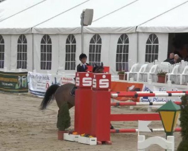 Lenklarer Reitertage auf der Reitsportanlage Gripshöver 2013