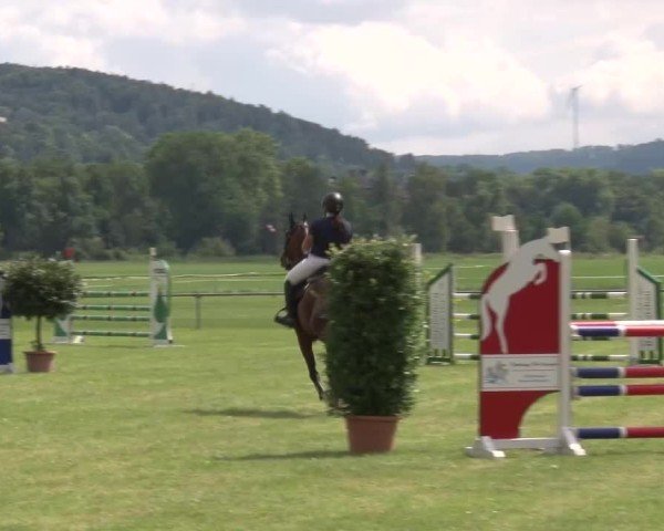 Reitturnier Bad Kissingen/Ufr. 2024