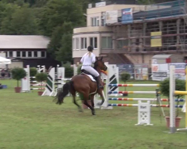 Reitturnier Bad Kissingen/Ufr. 2024
