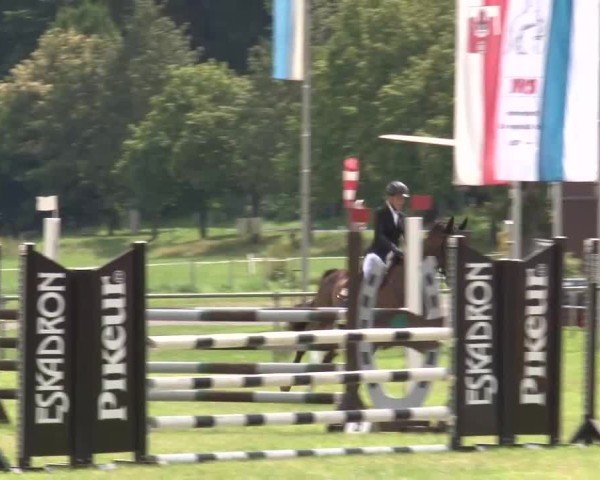 Reitturnier Bad Kissingen/Ufr. 2024