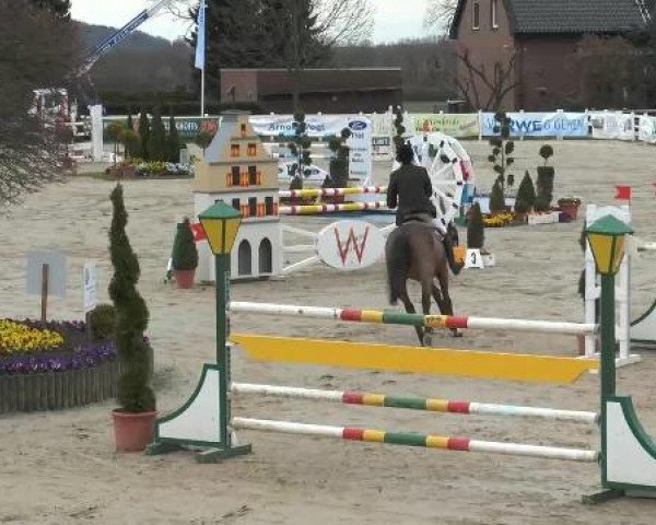 Reitturnier Werne-Lenklar 2013