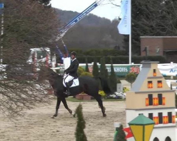 Lenklarer Reitertage auf der Reitsportanlage Gripshöver 2013