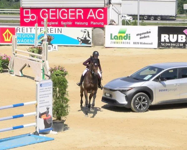 Reitturnier Wädenswil 2024