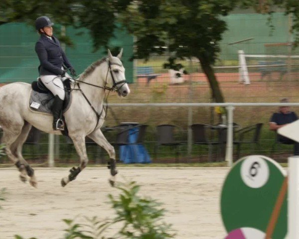 Reitturnier Mannheim-Friedrichsfeld 2024