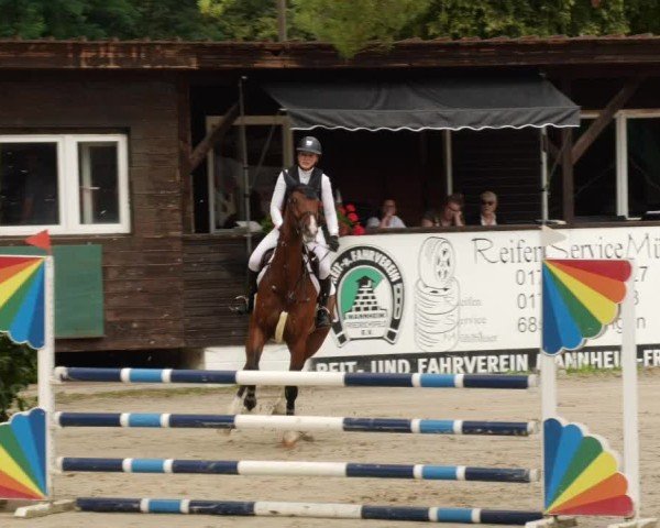 Reitturnier Mannheim-Friedrichsfeld 2024