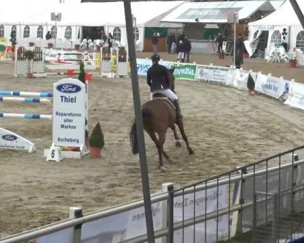 Reitturnier Werne-Lenklar 2013