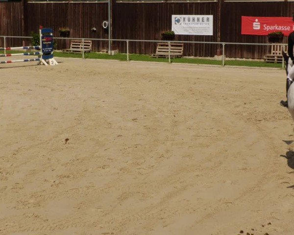 Reitturnier Mannheim-Friedrichsfeld 2024