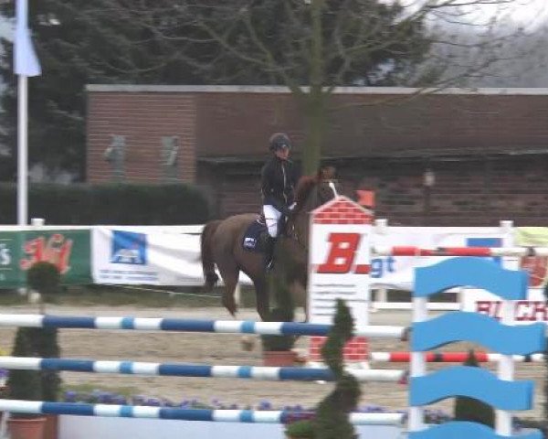 Lenklarer Reitertage auf der Reitsportanlage Gripshöver 2013