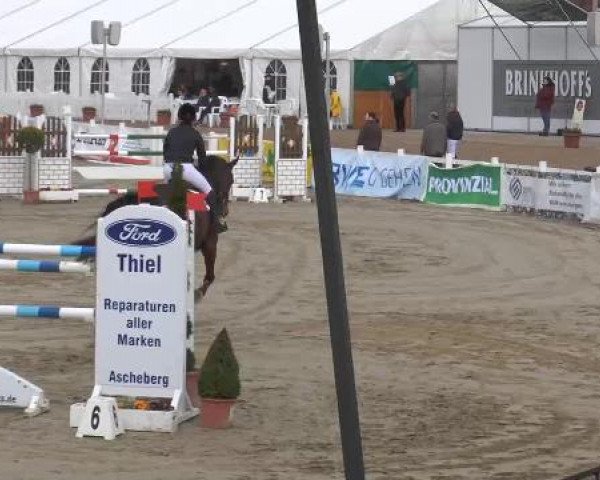 Lenklarer Reitertage auf der Reitsportanlage Gripshöver 2013