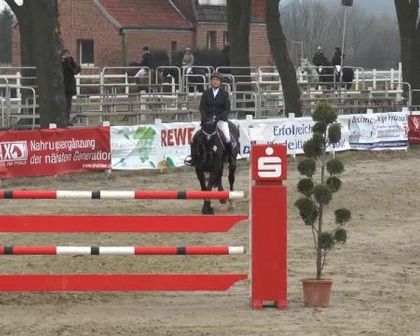 Lenklarer Reitertage auf der Reitsportanlage Gripshöver 2013