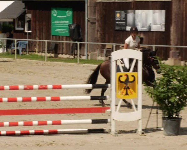 Reitturnier Mannheim-Friedrichsfeld 2024