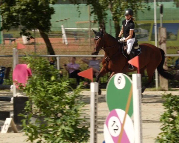 Reitturnier Mannheim-Friedrichsfeld 2024