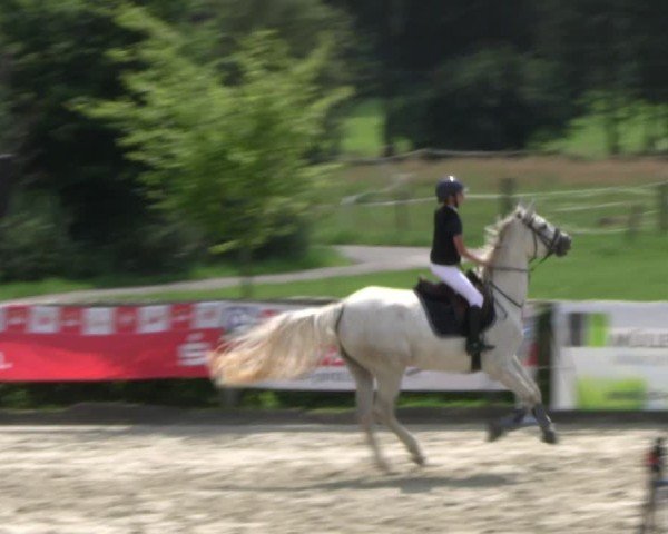 Reitturnier Monschau-Mützenich 2024