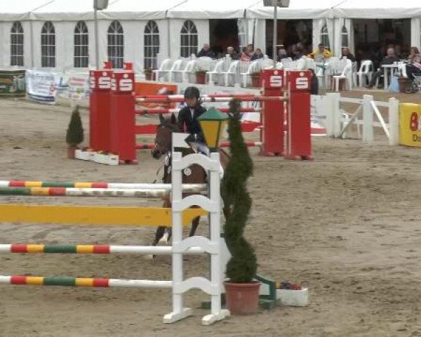 Lenklarer Reitertage auf der Reitsportanlage Gripshöver 2013