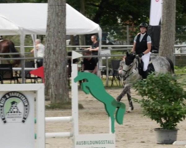 Reitturnier Mannheim-Friedrichsfeld 2024
