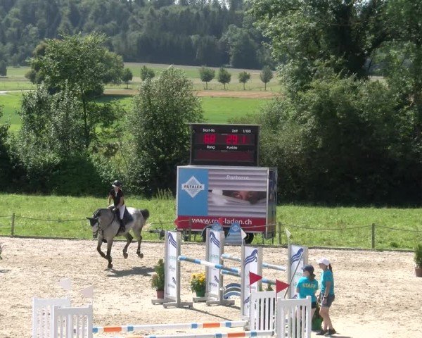Reitturnier Gossau 2024