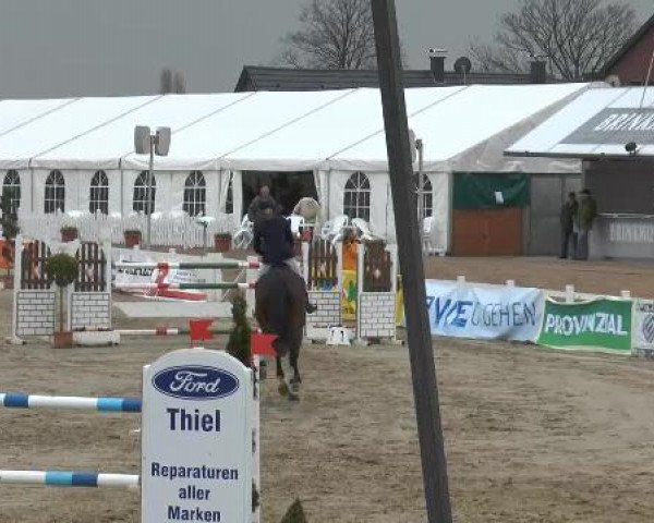 Lenklarer Reitertage auf der Reitsportanlage Gripshöver 2013