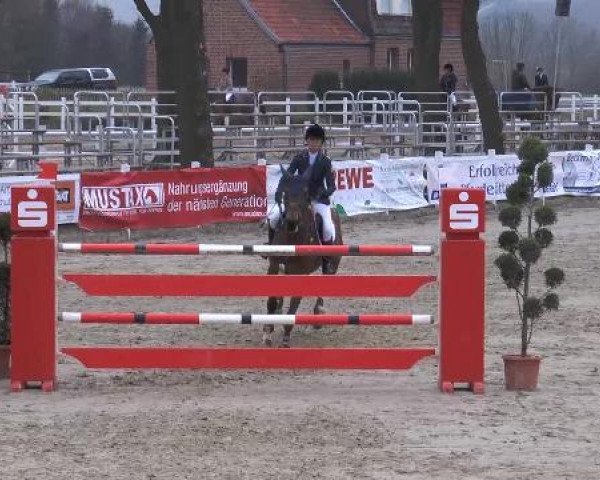 Lenklarer Reitertage auf der Reitsportanlage Gripshöver 2013