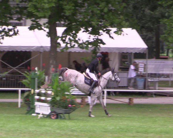 Reitturnier Zobbenitz 2024