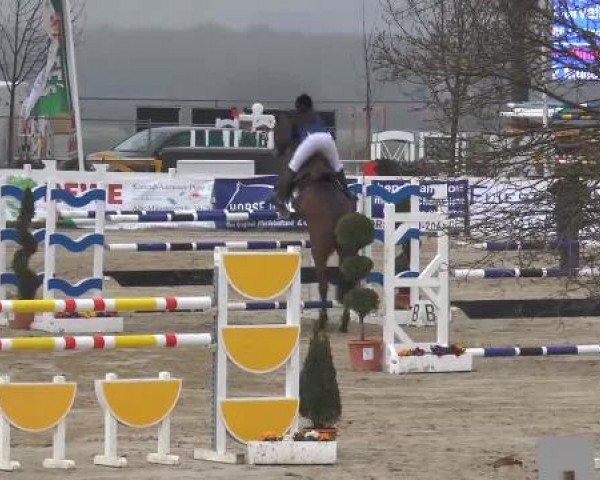 Lenklarer Reitertage auf der Reitsportanlage Gripshöver 2013