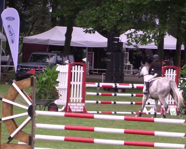 Reitturnier Zobbenitz 2024