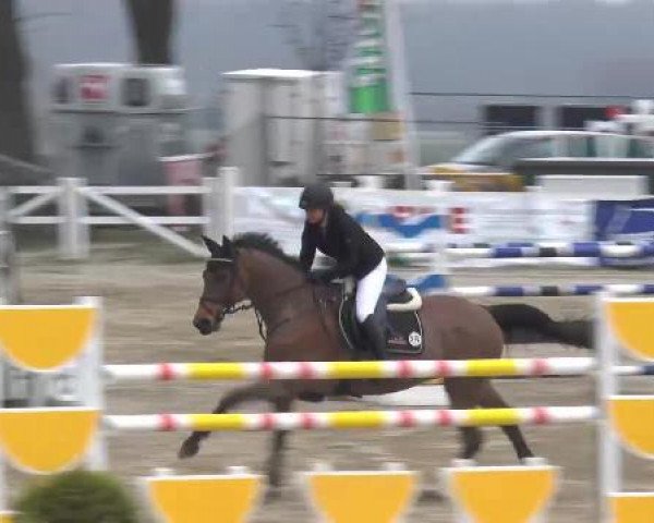 Lenklarer Reitertage auf der Reitsportanlage Gripshöver 2013