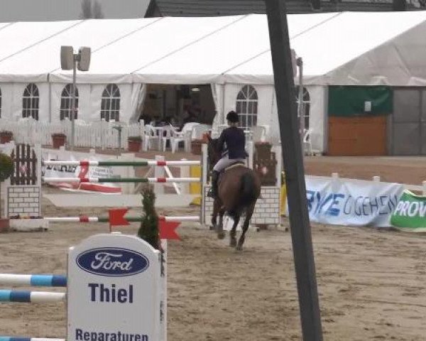 Reitturnier Werne-Lenklar 2013