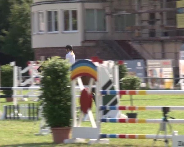 Reitturnier Bad Kissingen/Ufr. 2024