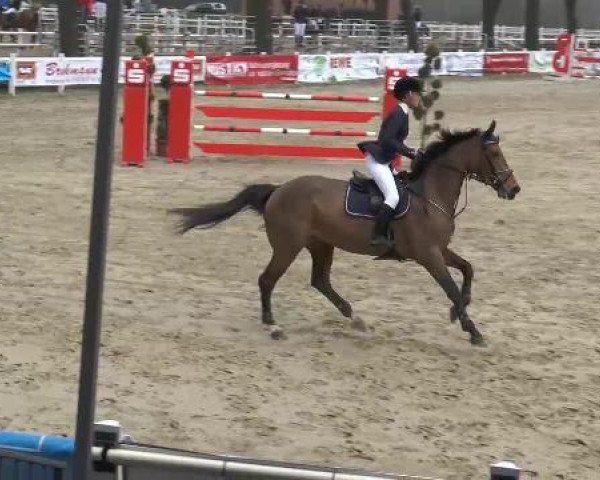 Lenklarer Reitertage auf der Reitsportanlage Gripshöver 2013