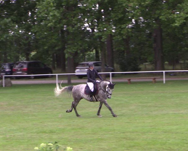 Reitturnier Zobbenitz 2024