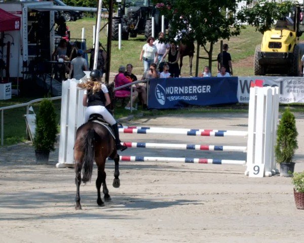 Reitturnier Groß-Zimmern 2024