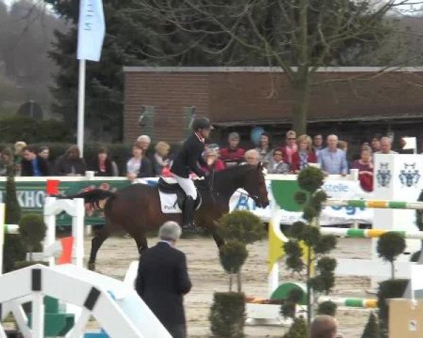 Reitturnier Werne-Lenklar 2013