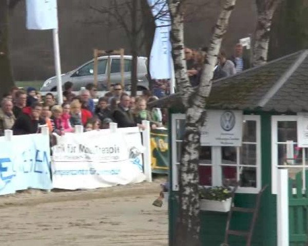 Reitturnier Werne-Lenklar 2013