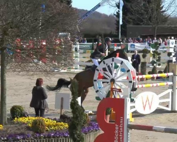 Lenklarer Reitertage auf der Reitsportanlage Gripshöver 2013