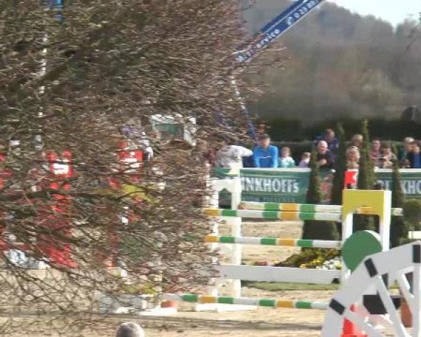 Lenklarer Reitertage auf der Reitsportanlage Gripshöver 2013