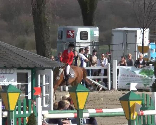 Lenklarer Reitertage auf der Reitsportanlage Gripshöver 2013