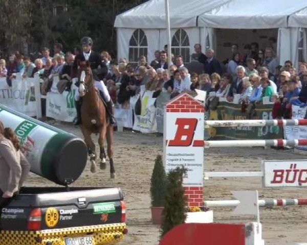 Reitturnier Werne-Lenklar 2013