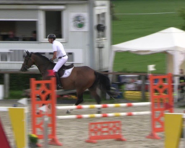 Reitturnier Monschau-Mützenich 2024