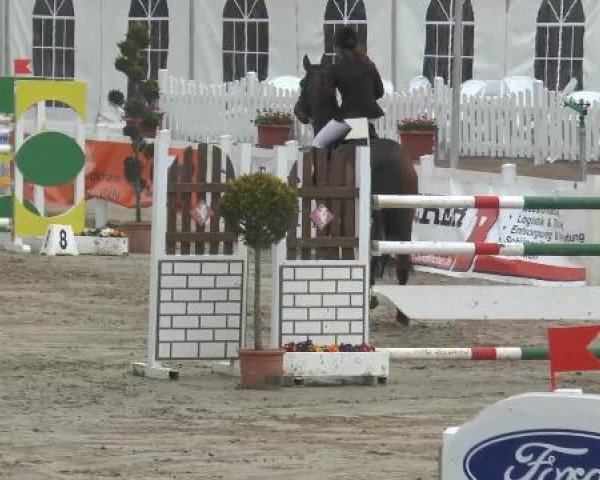 Reitturnier Werne-Lenklar 2013